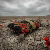 Rear Bag V2 - LIMITED - Poppies of War