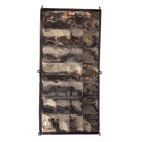 Challenge Coin Panel